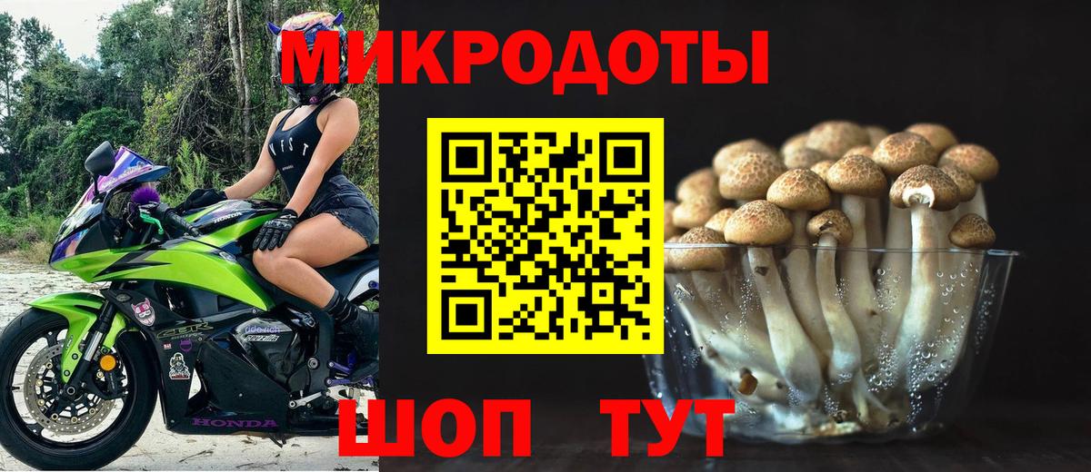 Боровичи  Псилоцибиновые грибы Magic Shrooms  Вход с VPN 