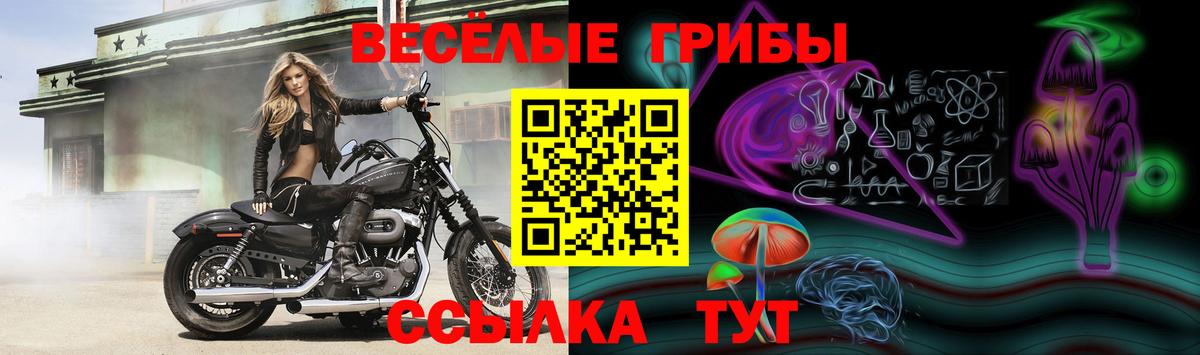 Псилоцибиновые грибы MAGIC MUSHROOMS Боровичи